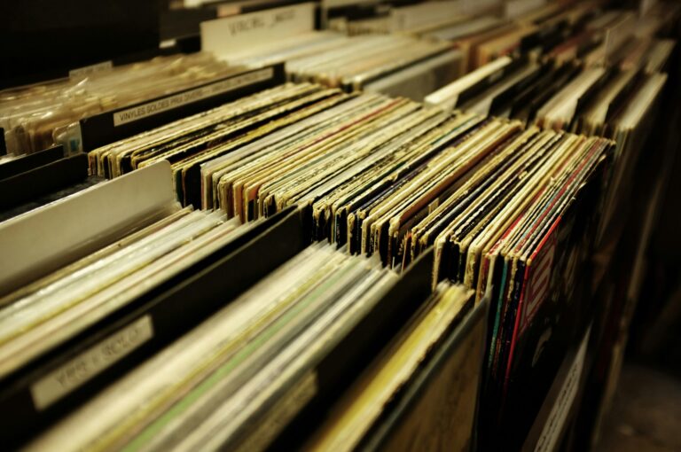 How to Organize a Record Store Layout to Boost Sales | TruOrganizing